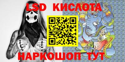 шишки Новозыбков
