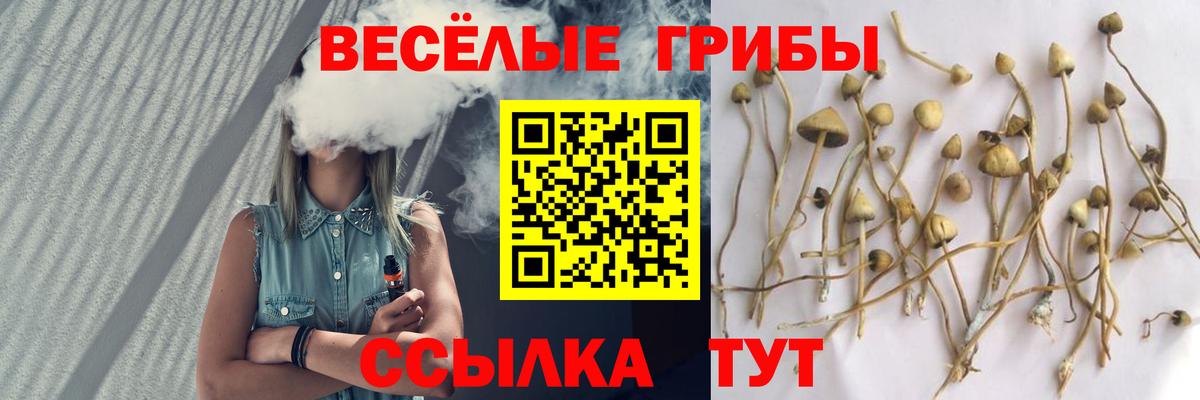 Галлюциногенные грибы мухоморы Осинники